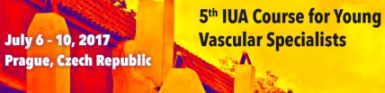 vaskularna Prag